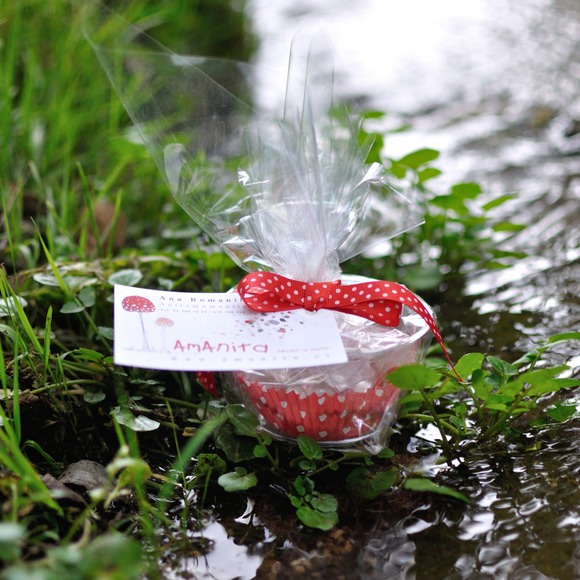 natura new 1700 - 10