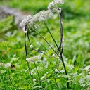 natura new 1700 - 02