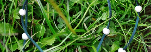 natura new 1700 - 04