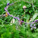 natura new 1700 - 14