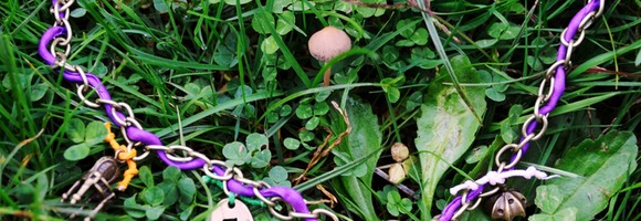 natura new 1700 - 15