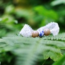 natura new 1700 - 18