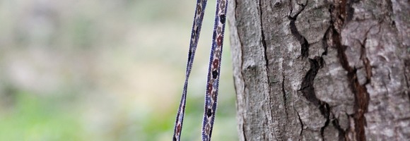 natura new 1700 - 27