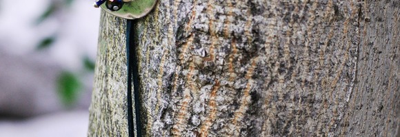 natura new 1700 - 31