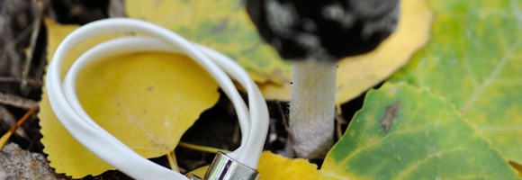 natura new 1700 - 56