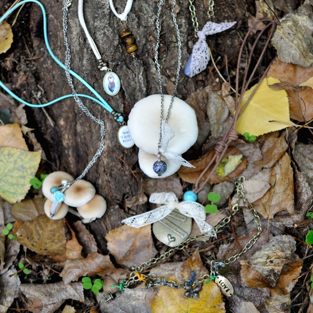 natura new 1700 - 60