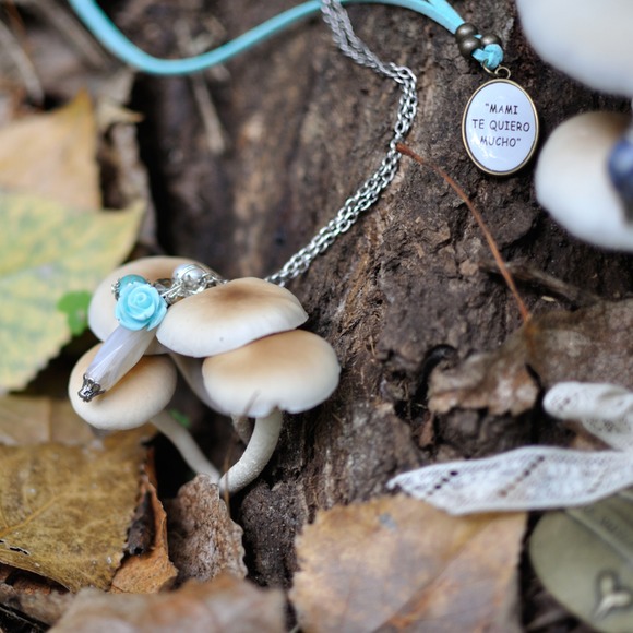 natura new 1700 - 61