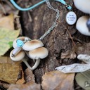 natura new 1700 - 61