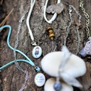 natura new 1700 - 64