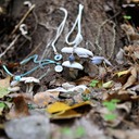 natura new 1700 - 66