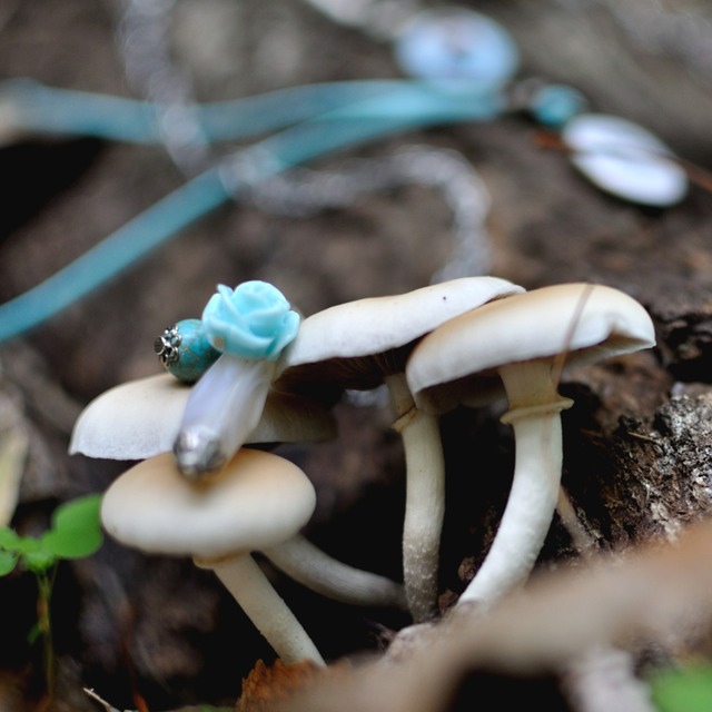 natura new 1700 - 67