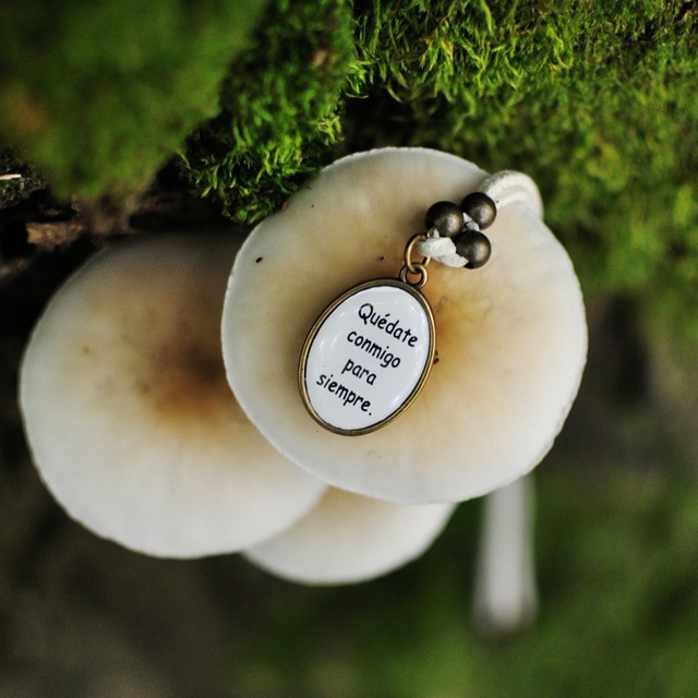 natura new 1700 - 70