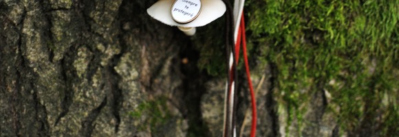 natura new 1700 - 73