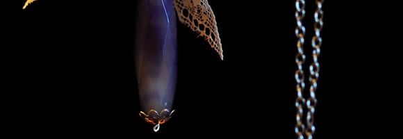 natura new 1700 - 86