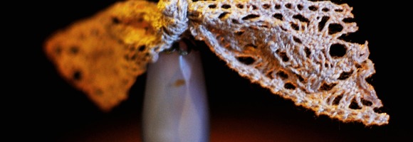 natura new 1700 - 89